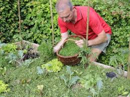 Mulchen Mit Rasenschnitt Und Rindenmulch Ndr De Ratgeber Garten