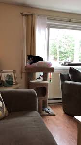 Tammy Gately (@tlgnh)