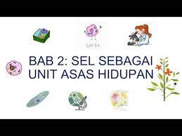 Bab 4 pembiakan | 4.2 sistem pembiakan manusia. Explore To Koh S Science World Blog Sains Sel Cell