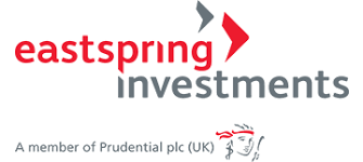 Want to diversify their overall investment portfolio by including shares as an asset class, in particular, shares of smaller companies; Global Eastspring Investments
