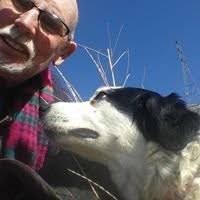 Gill Gordon (@gordongill) • Threads, Say more