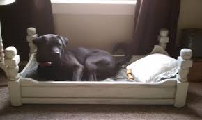 Dog Bed Made By Flipping Coffee Table Upside Down Handmade Dog Beds Diy Dog Bed Coffee Table Pet Bed