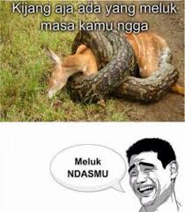 100 perang gambar lucu komen facebook bahasa sunda terbaru 2017 perang gambar lucu gokil kocak ngakak komen fb lucu bahasa sunda gambar lucu lucu cartoon jokes. 100 Meme Gambar Lucu Foto Dan Poto Kocak Terbaru Komik Gambar2