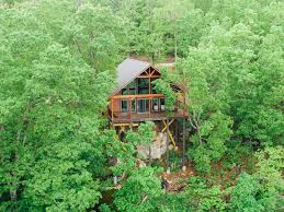 Cabin view is secluded and overlooks forested area. The Foxfire Cabin Buffalo Outdoor Center
