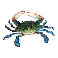 We did not find results for: 92 Crab Decor Ideas Crab Decor Crab Beachfront Decor