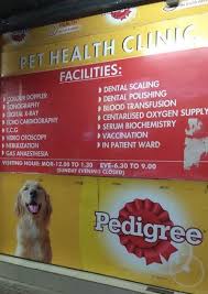 We did not find results for: Drools Pet Health Clinic Top Vets In Raipur Epets Vets