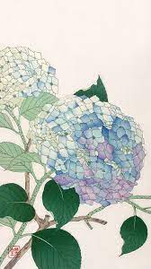 kawarazaki shodo 河原崎奨堂 紫陽花 花 イラスト 紫陽花 イラスト あじさい イラスト