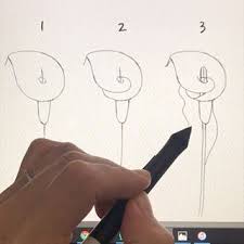 Kate Kyehyun Park Urbankate In Ca Instagram Photos And Videos Flower Drawing Flower Drawing Tutorials Draw Flowers Watercolor