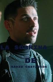 LA SOBRINA DE DAVID CASTAÑEDA