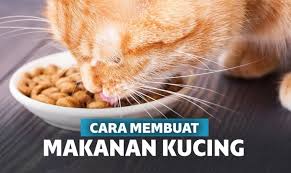 9 Cara Membuat Makanan Kucing Murah Bikin Gemuk Dan Sehat