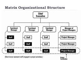 lenovo matrix organization structure homework example