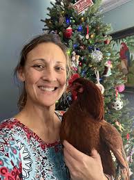 Owl deterrent solar strobe lights for colonies