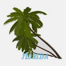 Florida Palm Trees Tropical Beach Travel Weddings Sticker Palm Tree Clip Art Palm Tree Png Palm Tree Background