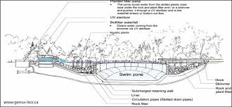 Natural Swimming Pool Genus Loci Ca Pool Water Features Natural Swimming Ponds Natural Pool