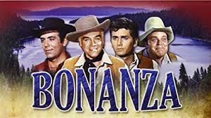 In the gunsmoke episode entitled mccabe, which aired on november 30, 1970, vogel played dobie mc. Bonanza Serien Wiki Fandom