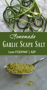 Garlic Scape Salt Low Fodmap Aip Scd Gutsy By Nature Recipe Scape Recipe Fodmap Recipes Fodmap