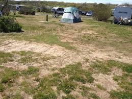 Camp hither hills friendly and knowledgeable staff are ready to assist you. One Side Of The Campsite Picture Of Hither Hills State Park Montauk Tripadvisor