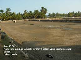 Statsiun pencatatan pasang surut juga telah menerima sinyal yang diperkirakan tsunami berkaitan dengan gempa manokwari. Menit Menit Mendebarkan Saat Tsunami Pangandaran Tanggal 17 July 2006