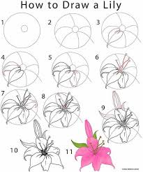 How To Draw Flowers And Turn These Drawings Into Really Cool Wall Art Craft Mart Flower Drawing Tutorials Flower Drawing Flower Sketches