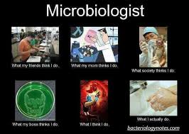 Pin By Joan Huffman On What I Really Do Meme Science Memes Microbiology Memes