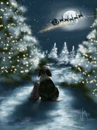 Le Notti Di Dicembre Hanno Qualcosa Di Magico Ogni Notte Sembra La Notte Di Natale Antonio Curn Foto Di Natale Illustrazione Di Natale Cartoline Di Natale