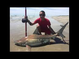 Maybe you would like to learn more about one of these? Corpus Christi 5 2 Black Tip Shark From Beach Youtube