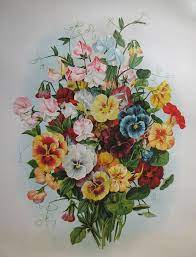 1900 Antique Victorian Pansy Flower Parlor Print Vintage Poster Pansies Flowers Vintage Flowers Flower Art
