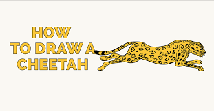 Easy cheetah drawings free image. How To Draw A Cheetah In A Few Easy Steps Easy Drawing Guides