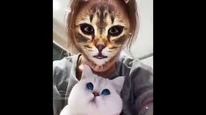 Kediler Telefon Ekraninda Baska Bir Kedi Gorurse