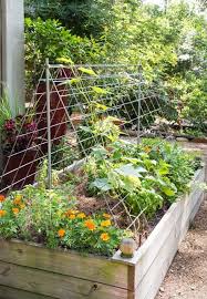 3 Ways To Use Cattle Panels In The Garden Bonnie Plants In 2020 Garten Hochbeet Gurkengitter Hinterhof Garten
