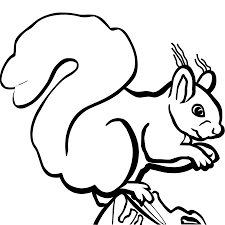We did not find results for: Squirrel Black And White Clipart Free Download Transparent Png Creazilla