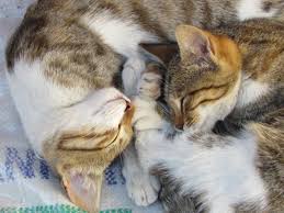 Mom And Child Love