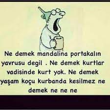 aslan bey adli kullanicinin ozlu sozler panosundaki pin komik alintilar mizah komik seyler