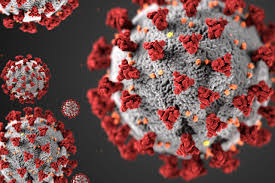 We can find them given in. Arizona Doctors Wary Of Ivermectin Treatment For Covid 19 Azcir
