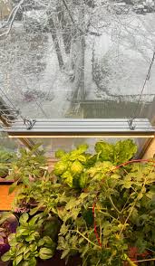 Our wideband spectrum grows like nothing you've experienced before. 2ft Full Spectrum Sunlight Replacement Monios L T5 Led Grow Light Hydroponics 30w High Output Integrated Fixture With Rope Hanger For Indoor Plants Growing Seedling Blooming Patio Lawn Garden Gardening