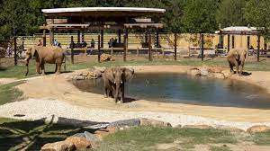 No limit to the number of kids at the party! Best Zoos Wildlife Parks And Petting Zoos Around Atlanta Atlanta Parent