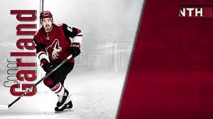 If you fall short in your essay writing task, then it will make your readers disappointed, and at the same time, you will be getting a low score for an essay. Arizona Coyotes Celebrating The Birthday Boy One More