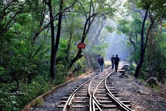 Sanjay Gandhi National Park: A Guide to Mumbai's Green Oasis