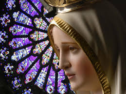 Resultado de imagem para imagens de nossa senhora