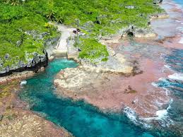 robinpocketguide, Author at Niue Pocket Guide - Page 30 of 34