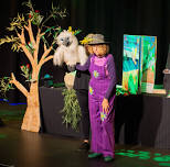 Imagination Magic - The Bush Buddies Puppet Show