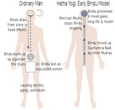 Bindu Symbol Wikipedia