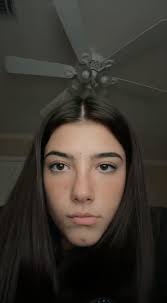 Lorena Pereda (lorispereda650)