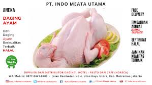 Pin Di Daging Ayam Fresh Chicken Pt Indo Meata Utama