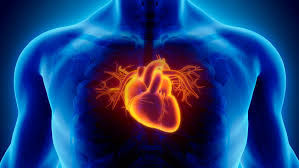 Så har du feber og vondt i brystet samtidig som du hoster, kan det hende du har fått en lungebetennelse. Maj Lis 53 Dode Ingen Oppdaget Hjerteinfarktet Vg