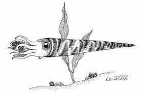 In 2008, the ics erected a formal international system of subdivisions. Orthoceras Amazing Nautiloid Hunter Of The Paleozoic Era