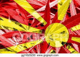 The sun is based on the star of vergina, and the red has been significant color throughout the country's flag history. Drawing Macedonia Flag On Cannabis Background Drug Policy Legalization Of Marijuana Clipart Drawing Gg74525230 Gograph