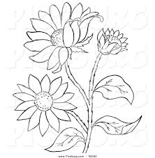 Pin On Coloring Pages Line Drawings Flowers