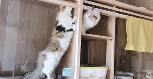 We did not find results for: Ajfxhis63aonjm