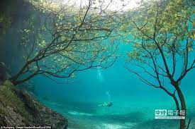 大自然餽贈奧地利超現實水下公園 中時電子報 underwater park art in the park green lake austria